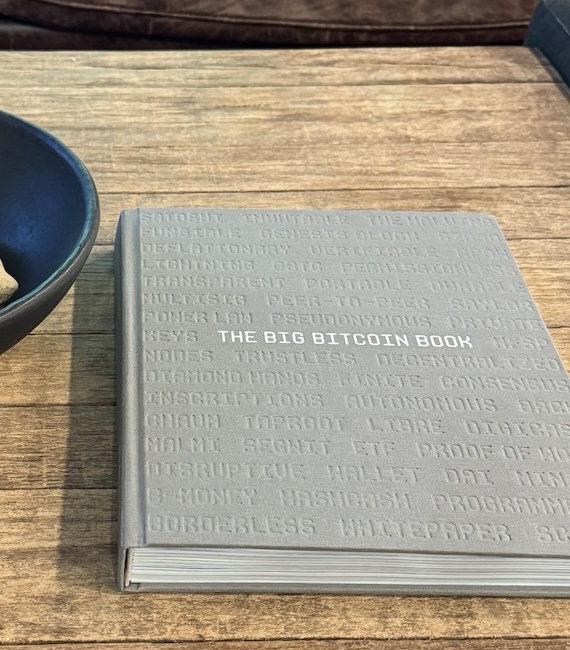 Big Bitcoin Book Cover